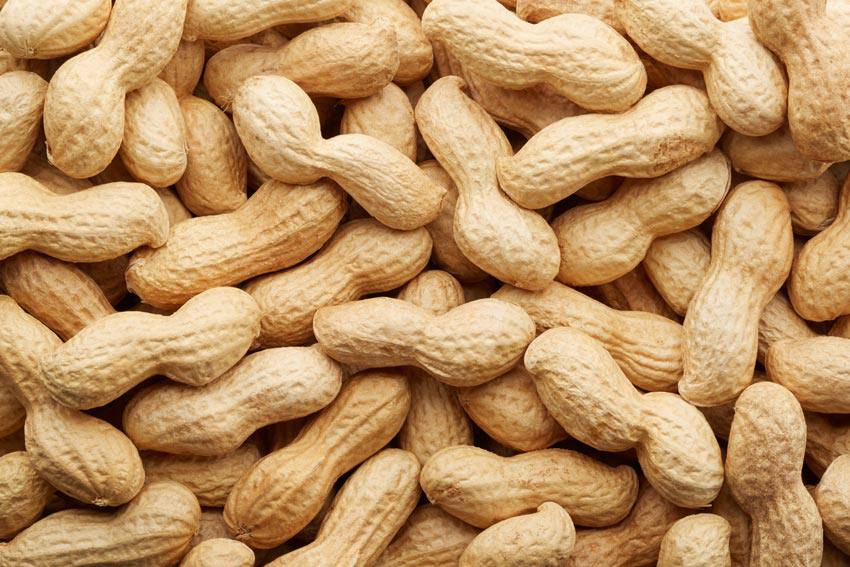 A mess of a lot of peanuts on top of each other