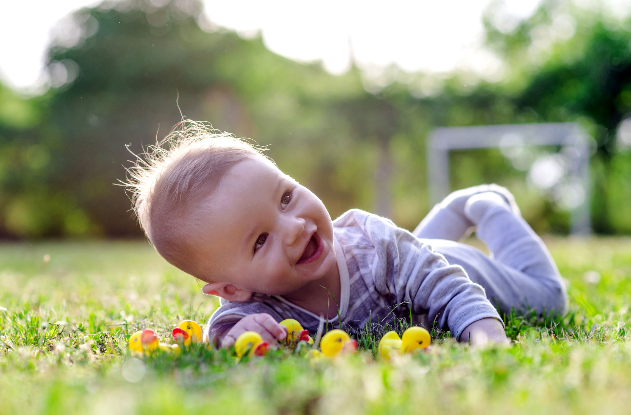 A baby lauging with rubber ducks on grass