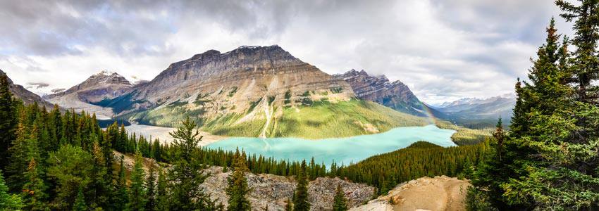 Mountain springtime