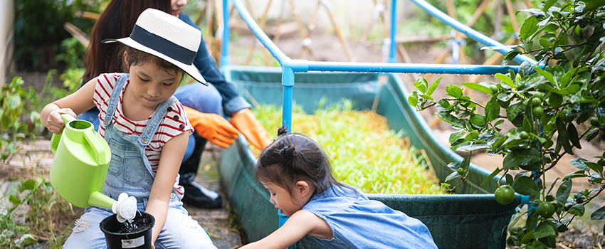 A family doing gardening together 