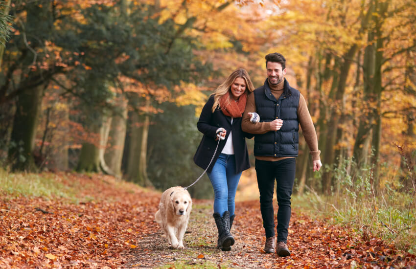 Loving couple walking with a dog