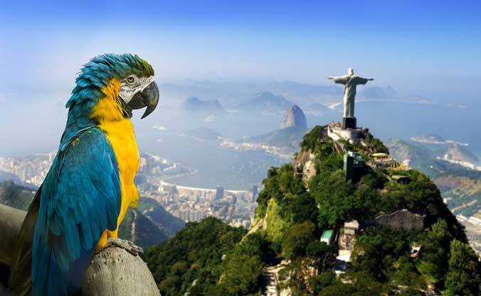 A parrot behind the Christ the Redeemer statue