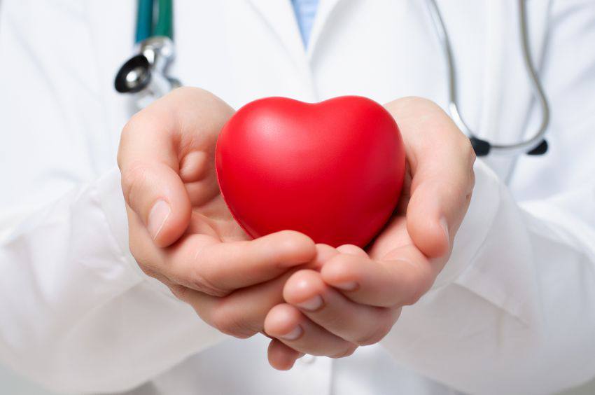 A doctor holding a heart in the palm of their hands